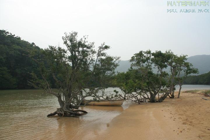 Ishigaki - on the coast
