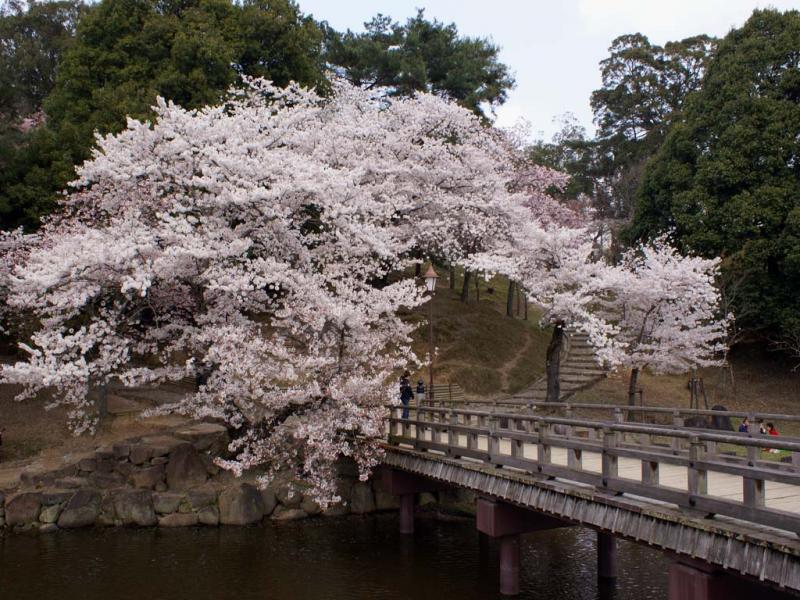 Parc de Nara