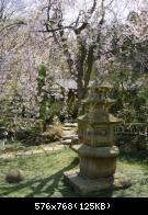 Kamakura - Engaku-ji - 003