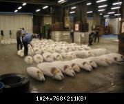 fish market, pictures from 2003