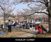 Hanami  Himeji-Jo