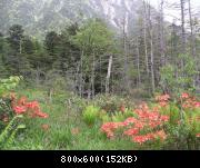 Kami Kochi, in Nagano-ken, is one of the wildest mountain area in Japan, and is still pretty easily accessible. Lake, mysterious march, monkey, snow, hiking...