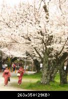 Arashiyama - 002