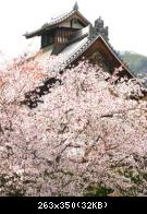 Arashiyama - 010