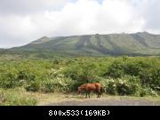 The main crater