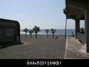 sand, trees and... concrete buildings!