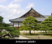 Nijo Castle - Ninomaru Palace