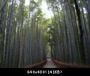 Kyoto - Arashiyama - 004