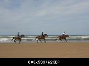 Drive with your car on a beach... horse riding also an option!