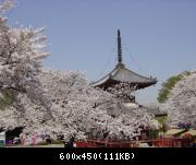 Kawagoe - Kitain - 1